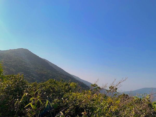Saddle Peak